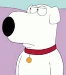 who is the voice of brian griffin|voices behind family guy.